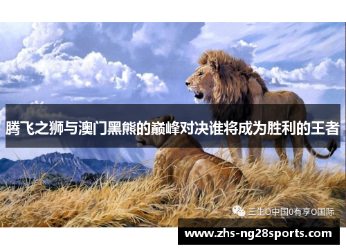 腾飞之狮与澳门黑熊的巅峰对决谁将成为胜利的王者